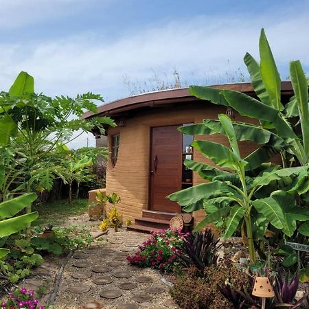 Willa Eco Loft Maymuna: Seu Loft Ecologico Pertinho Da Praia Pôrto de Pedras Zewnętrze zdjęcie