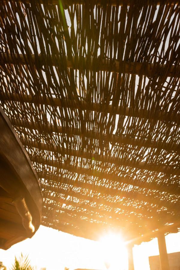 Willa Eco Loft Maymuna: Seu Loft Ecologico Pertinho Da Praia Pôrto de Pedras Zewnętrze zdjęcie